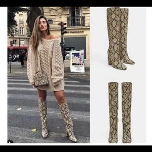 Zara snake boots size 6